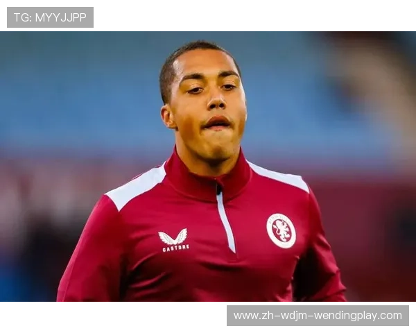 比利时籍英超球员介绍及其在联赛中的突出表现